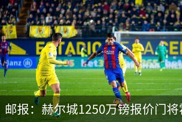 邮报：赫尔城1250万镑报价门将霍尔尼切克，还有意努贝尔、科利尔